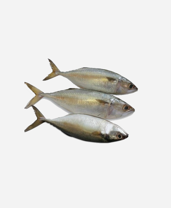 Indian Mackeral/Bangda Whole(Gross 1 kg, net weight 700gm) - Image 4