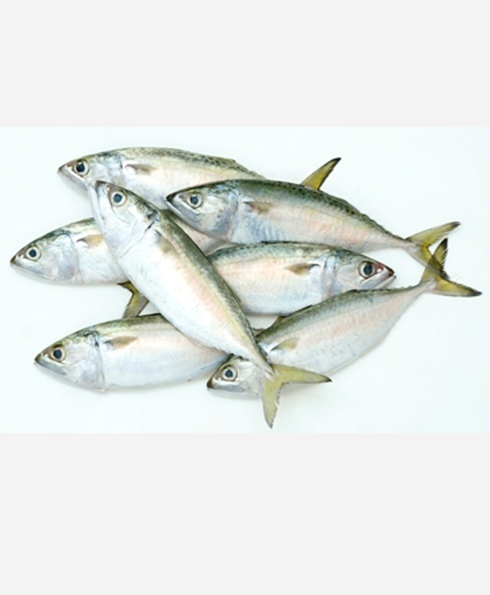 Indian Mackeral/Bangda Whole(Gross 1 kg, net weight 700gm) - Image 3