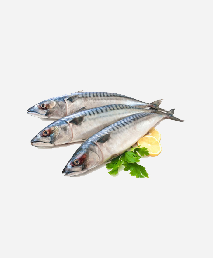 Indian Mackeral/Bangda Whole(Gross 1 kg, net weight 700gm)
