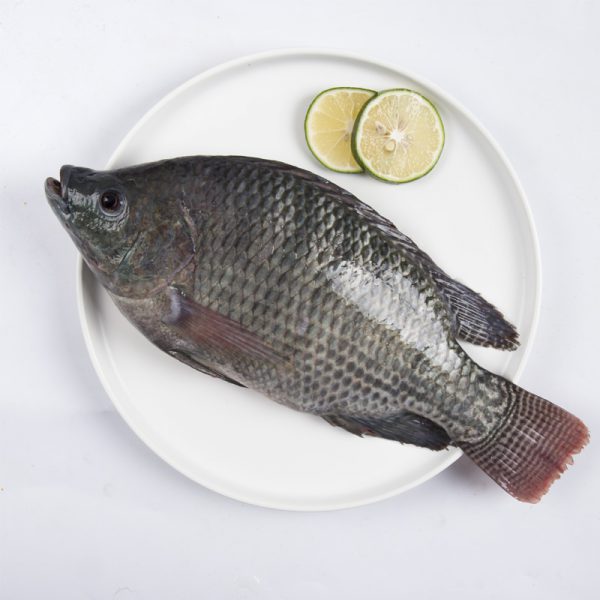 Tilapia fish - Image 3