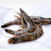 Big Tiger Prawns 23-25pcs / kg