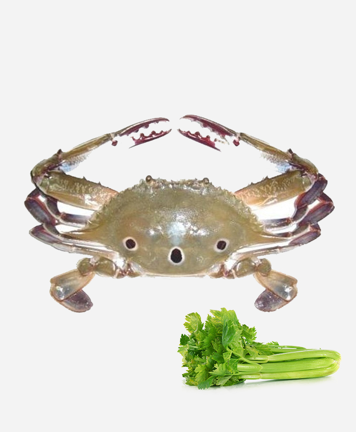 3 Spot Crab Big 5-8 pcs per KG (Mukkan Nandu)