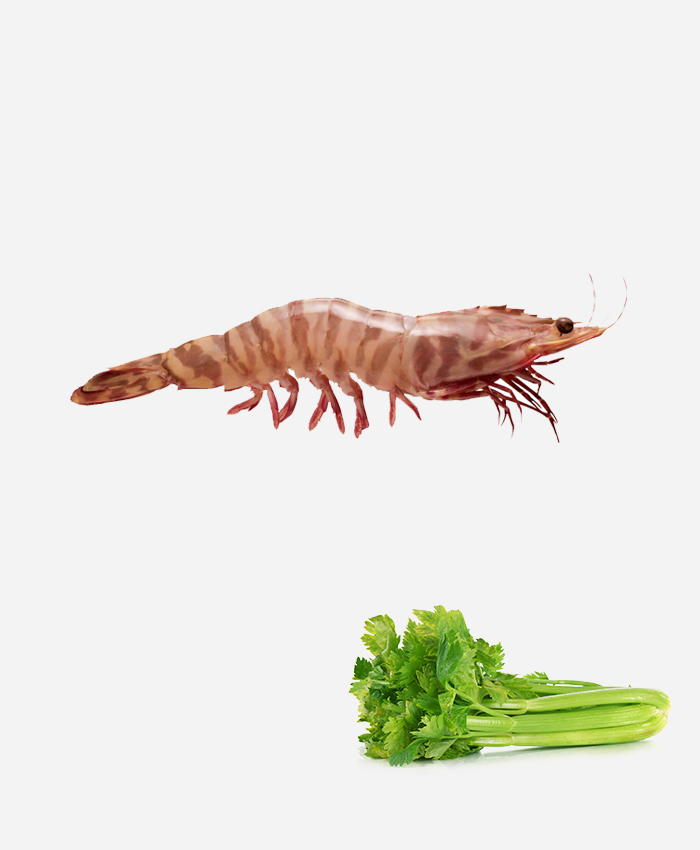 Jumbo Prawns