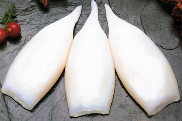 Squid Tubes - Image 3