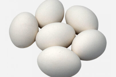White Eggs (6 Pieces)